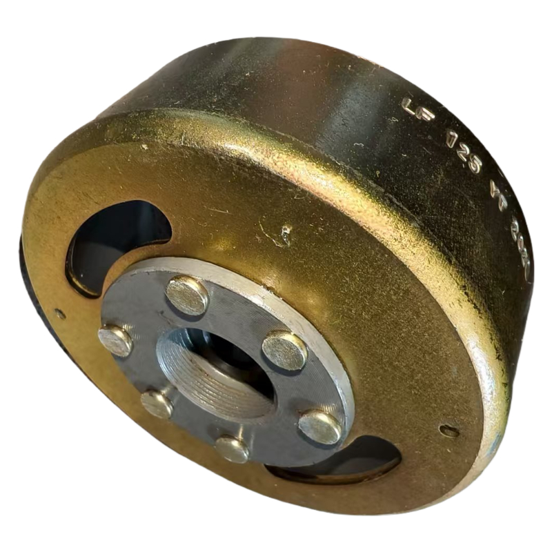 Hoge kwaliteit go kart Gy6 230 - Motorcycle Stator recensie en prijs